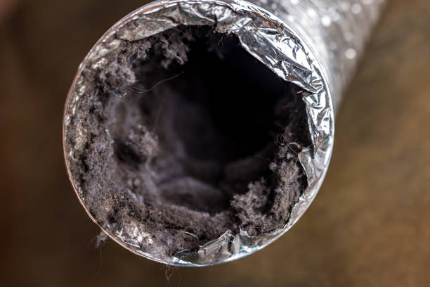 Best Dryer Vent Cleaning Services  in Westhaven Moonstone, CA