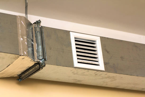 Best Professional Duct Cleaning Services  in Westhaven Moonstone, CA